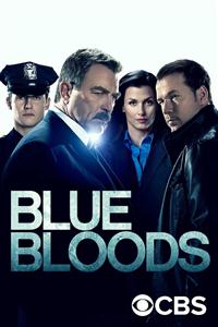 Blue Bloods season 1-7 DVD Box Set