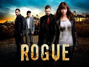 Rogue Season 4 DVD Set