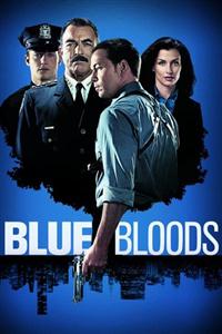 Blue Bloods season 1-8 DVD Set