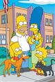 The Simpsons Season 1-28 DVD Set