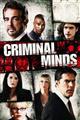Criminal Minds Season 1-13 DVD Set